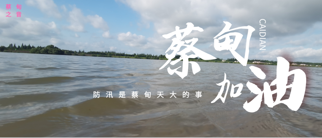 蔡甸區(qū)啟動防汛ⅰ級應急響應,做好鋪土釘防汛木樁工作