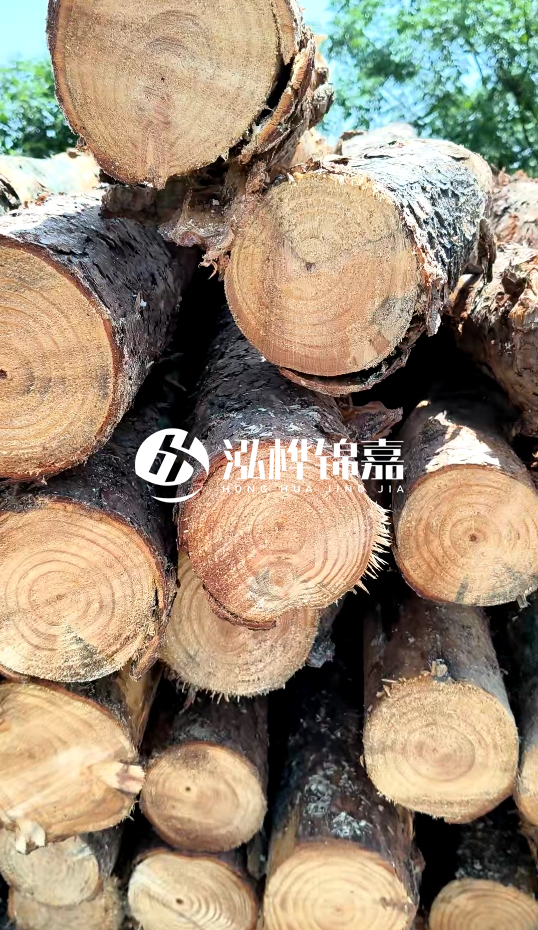 周口挖機(jī)打木樁專業(yè)施工-杉木樁施工打樁怎么打？