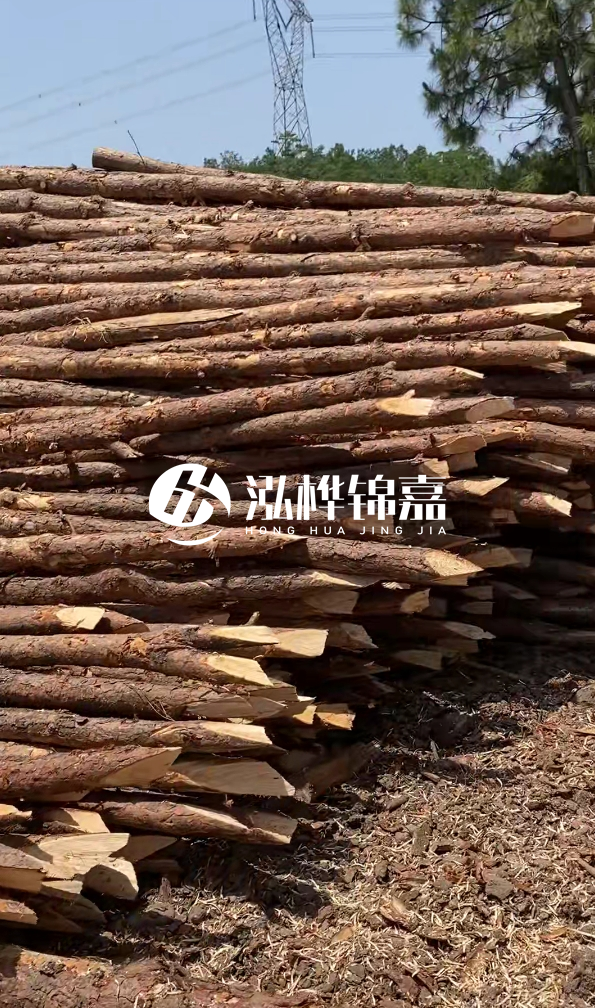 鄂州挖機(jī)打木樁專業(yè)施工-如何選擇高質(zhì)量的河道杉木樁？