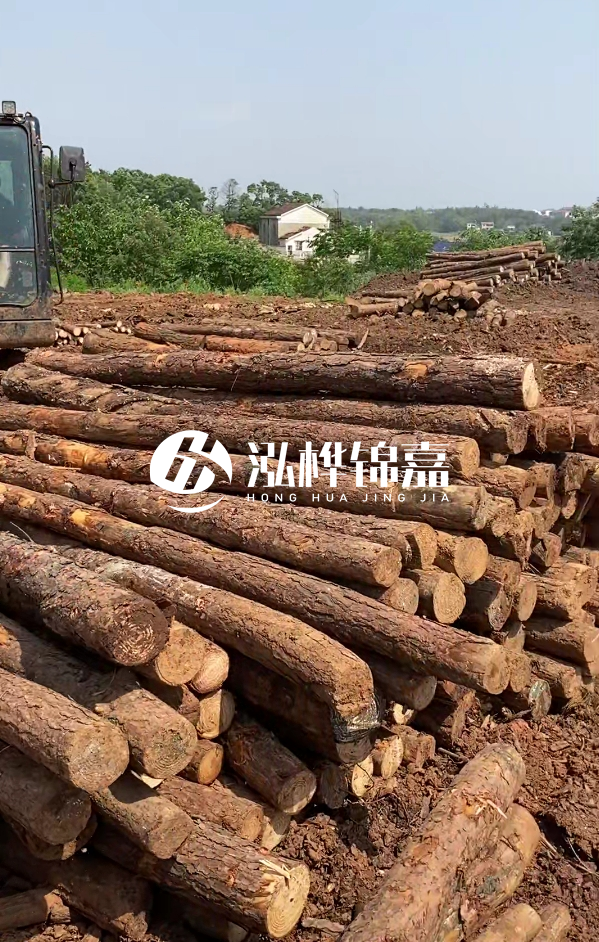 荊州挖機(jī)打木樁專業(yè)施工-河道打樁木被水浸泡后會(huì)不會(huì)變形嚴(yán)重？