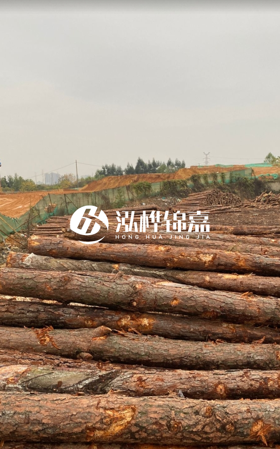 攀枝花松木樁源頭廠家-河道松木樁廠家聯(lián)系方式？