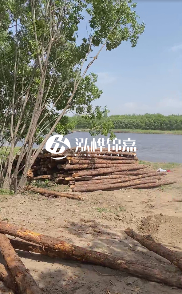 慶陽(yáng)挖機(jī)打木樁專業(yè)施工-松木打樁過(guò)程中如何避免木材開裂？