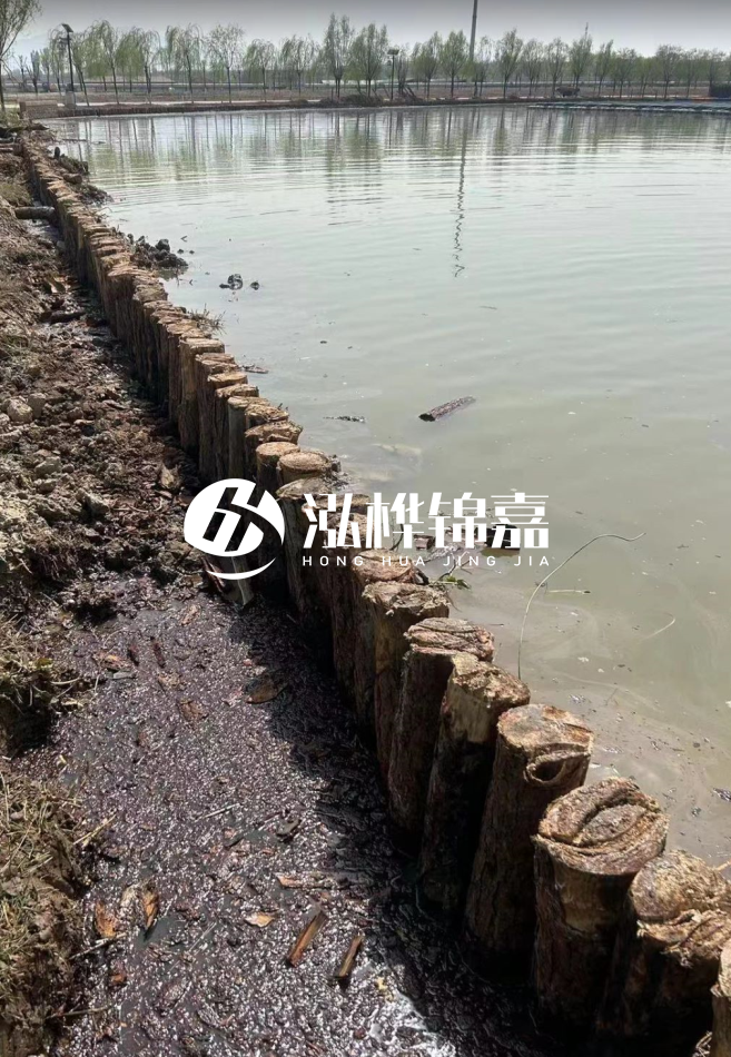 松木樁為什么要一根一根挨著打？秘密在這里！看完恍然大悟！