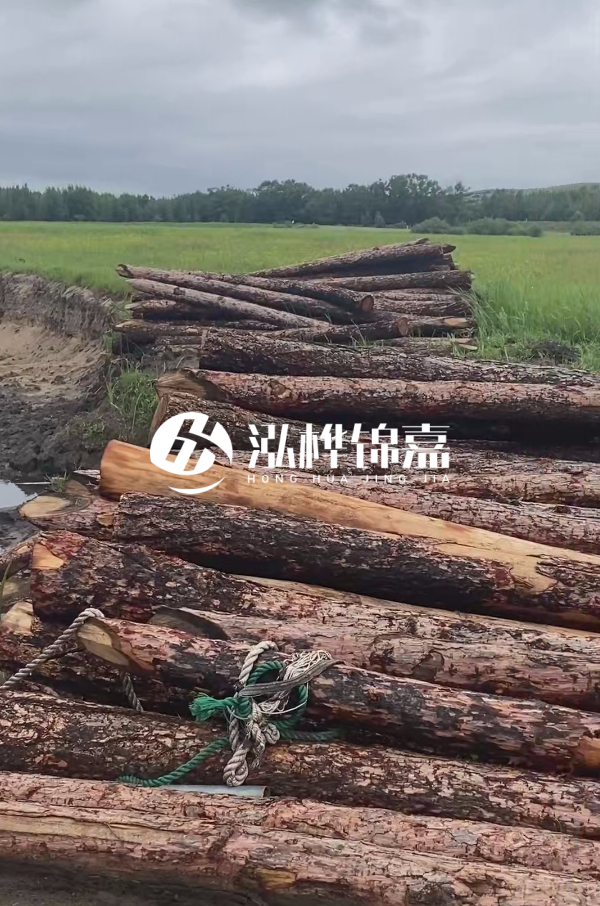 打樁木樁的選購標準是什么？材質、尺寸與強度，哪些標準不能忽視？