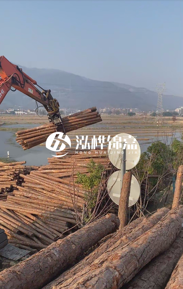 松木樁是否需要削皮呢？松木樁為什么不會爛掉呢？