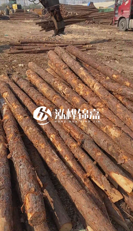 4.5米松木樁直徑14一根多少錢？5米14厘米多少錢？