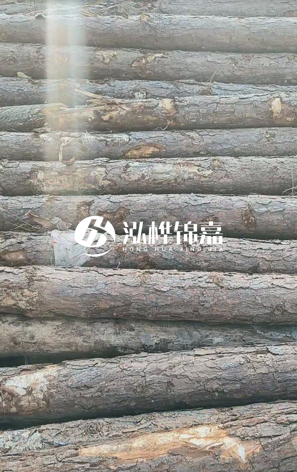 松木樁5米100mm一根多少錢-5米140mm多少錢？