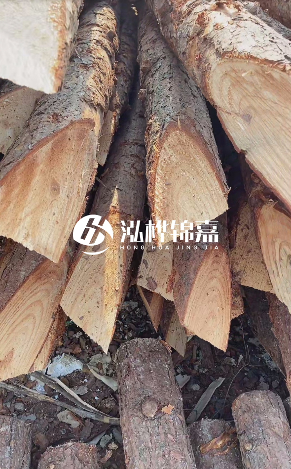 3米杉木樁梢頭12大頭多少？賣多少錢一根？