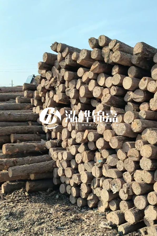 江西哪里有松木樁賣-4米12-14公分松木樁價(jià)格揭秘！