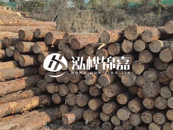 落葉松木材的主要產(chǎn)地在哪里？為什么比其他松木更耐腐蝕？