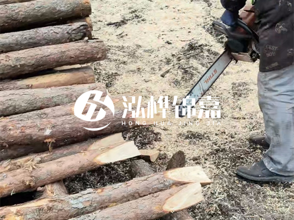 杉木樁批發(fā)廠家哪家好？產(chǎn)地直供渠道推薦！