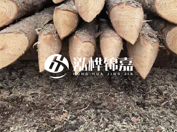 打樁木樁與鋼樁相比有哪些優(yōu)缺點(diǎn)？如何進(jìn)行后期維護(hù)？