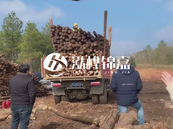 松木樁價格是按米算還是按根算？6米松木樁批發(fā)價每根多少錢？