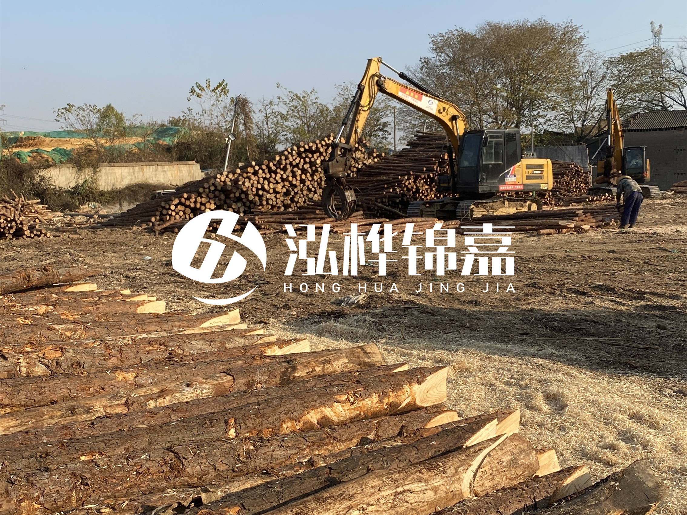 松木樁批發(fā)廠家泓樺錦嘉-松木樁廠家能開(kāi)發(fā)票嗎？