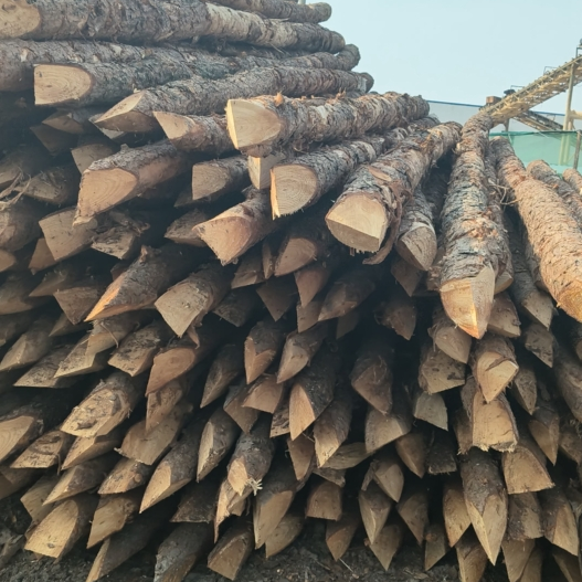 松木樁施工隊泓樺錦嘉 - 河道改造用什么規(guī)格的打樁木？